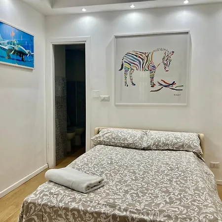 Tiny Bedsit 罗马