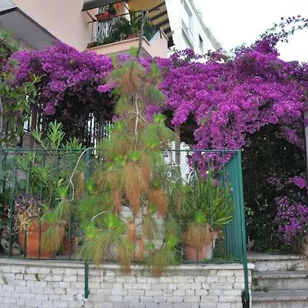 Apartament Tiny Bedsit *